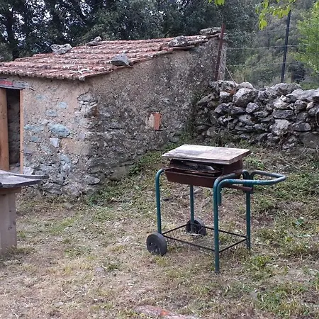 Campsite Cabane Hamac *