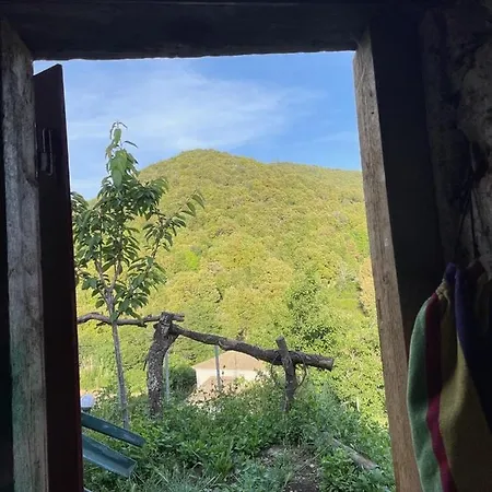Cabane Hamac Campsite